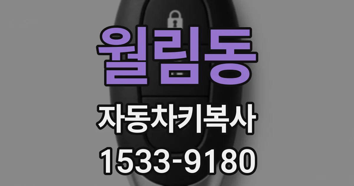월림동 자동차키복사