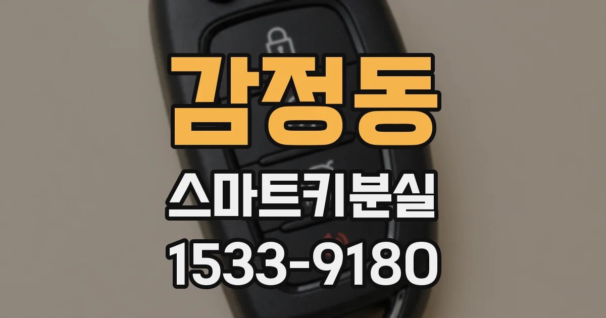 감정동 스마트키분실