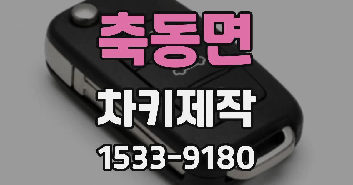 축동면 차키제작