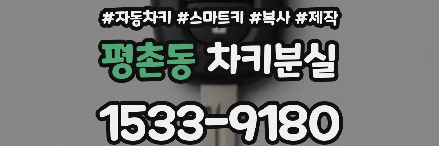 평촌동 차키분실