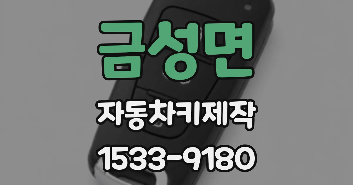 금성면 자동차키제작