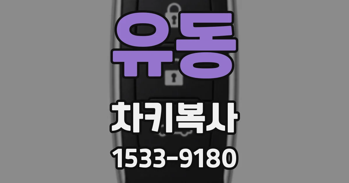 유동 차키복사