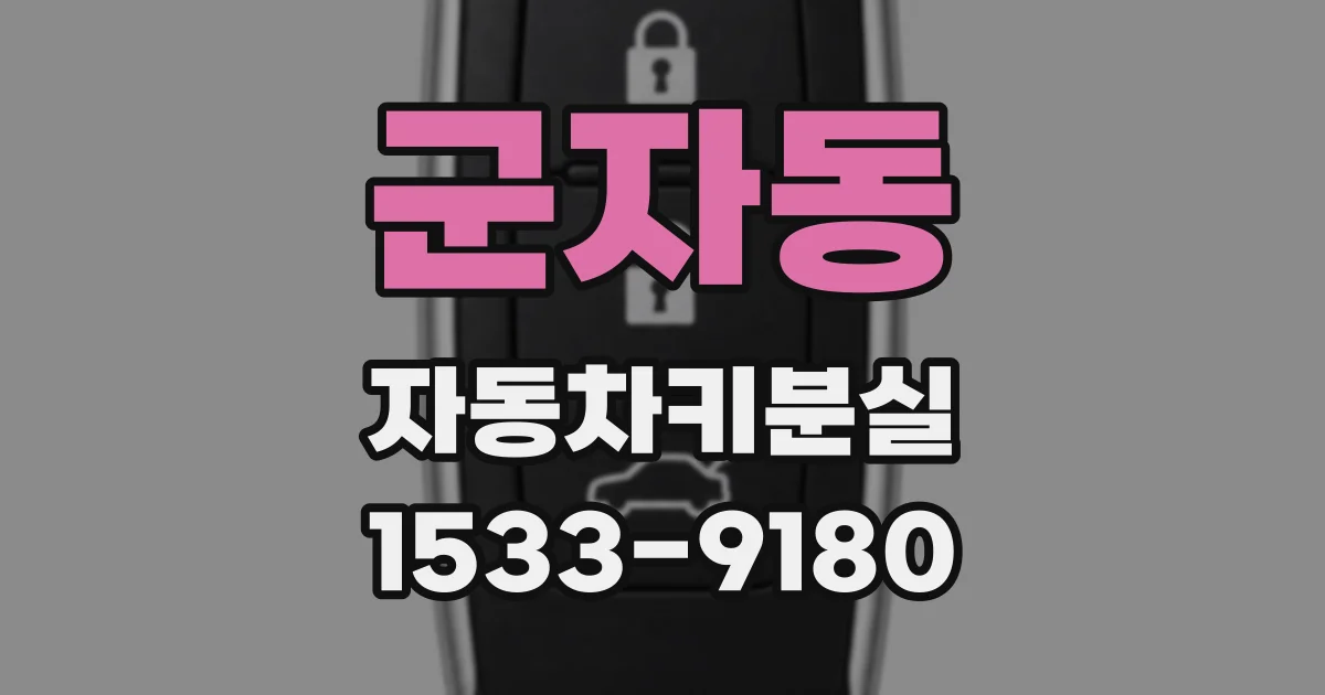 군자동 자동차키분실