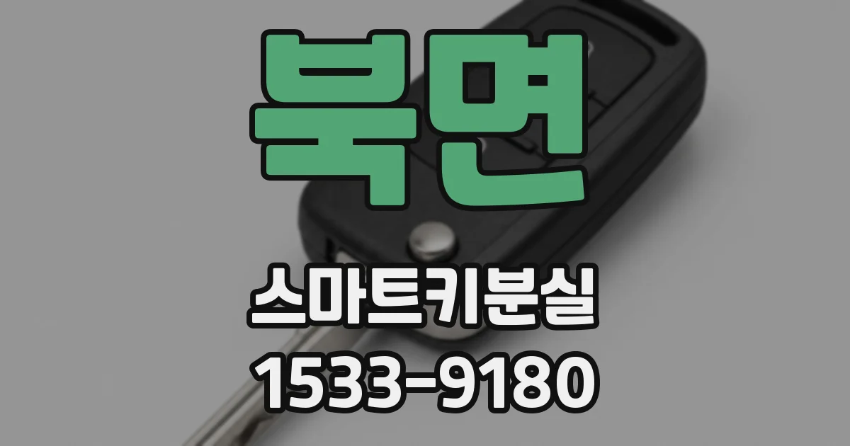 북면 스마트키분실