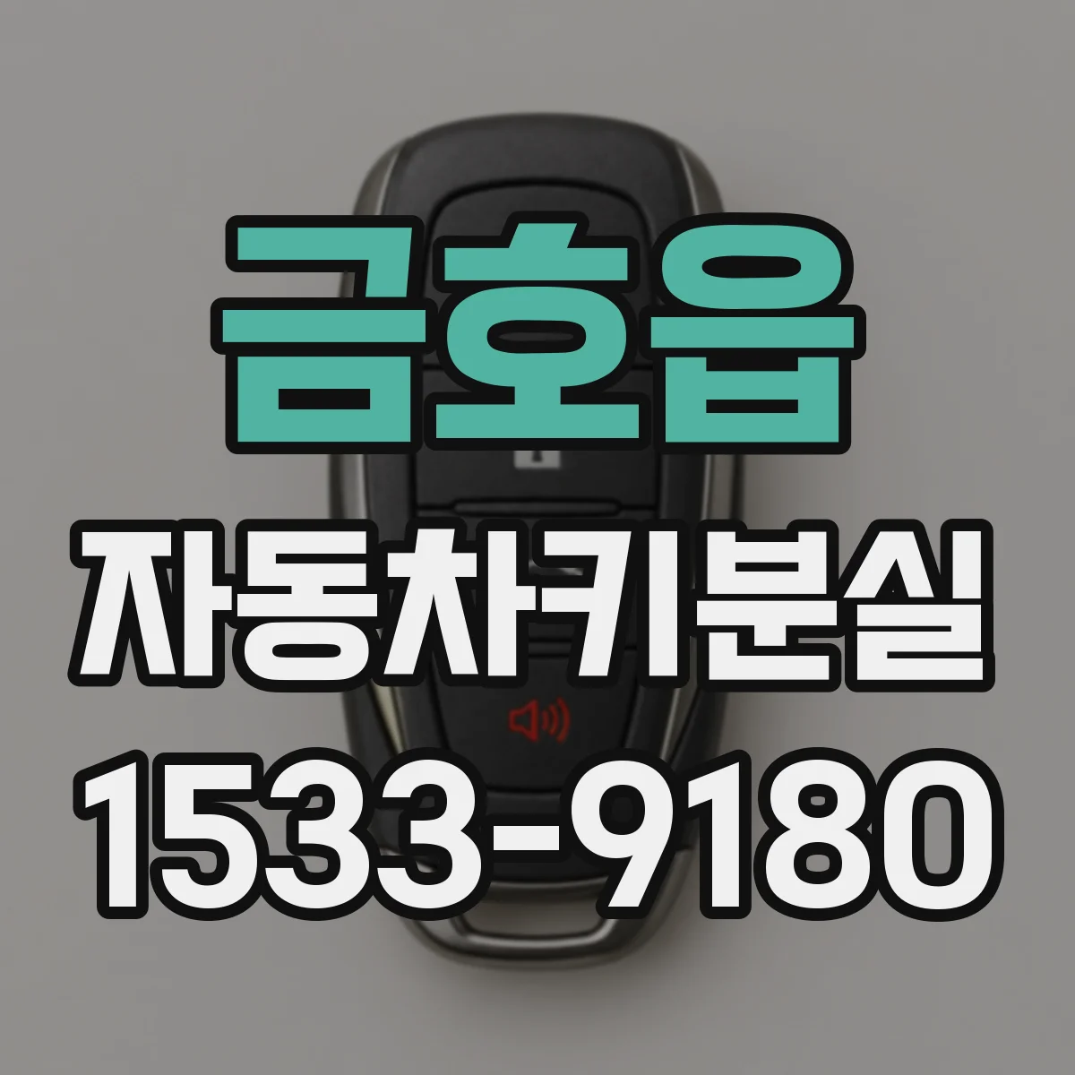 금호읍 자동차키분실