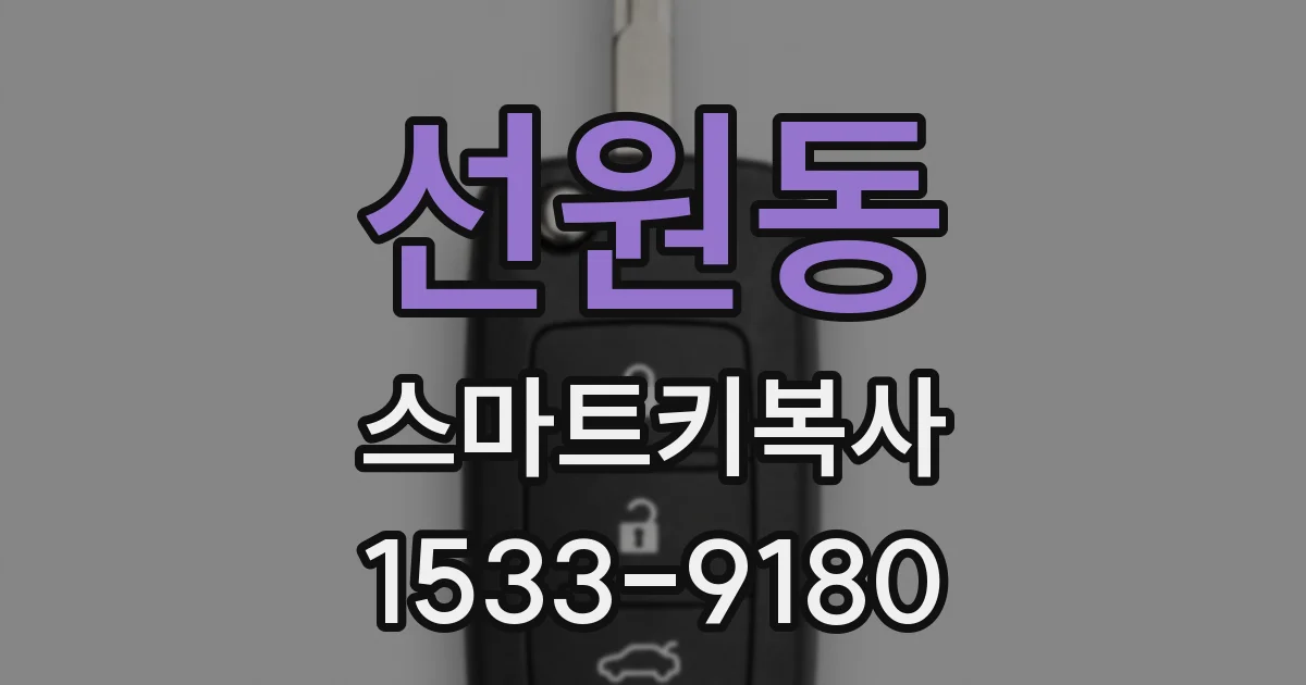 선원동 스마트키복사