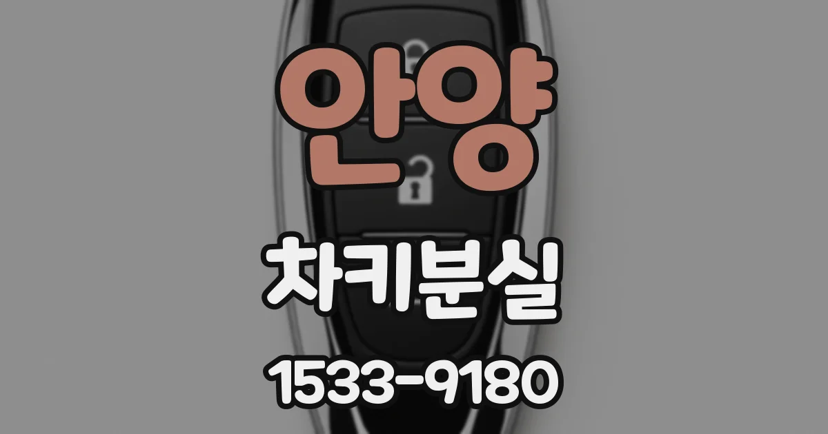 안양 차키분실