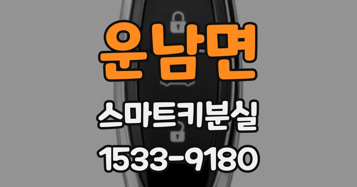 운남면 스마트키분실