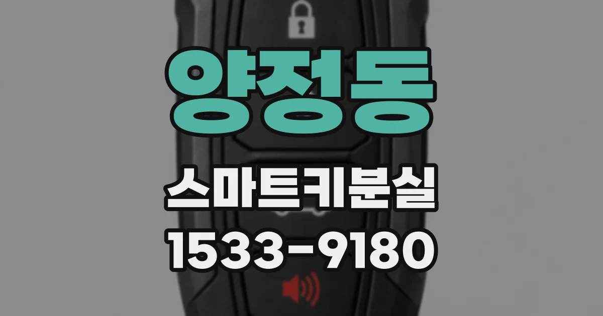 양정동 스마트키분실