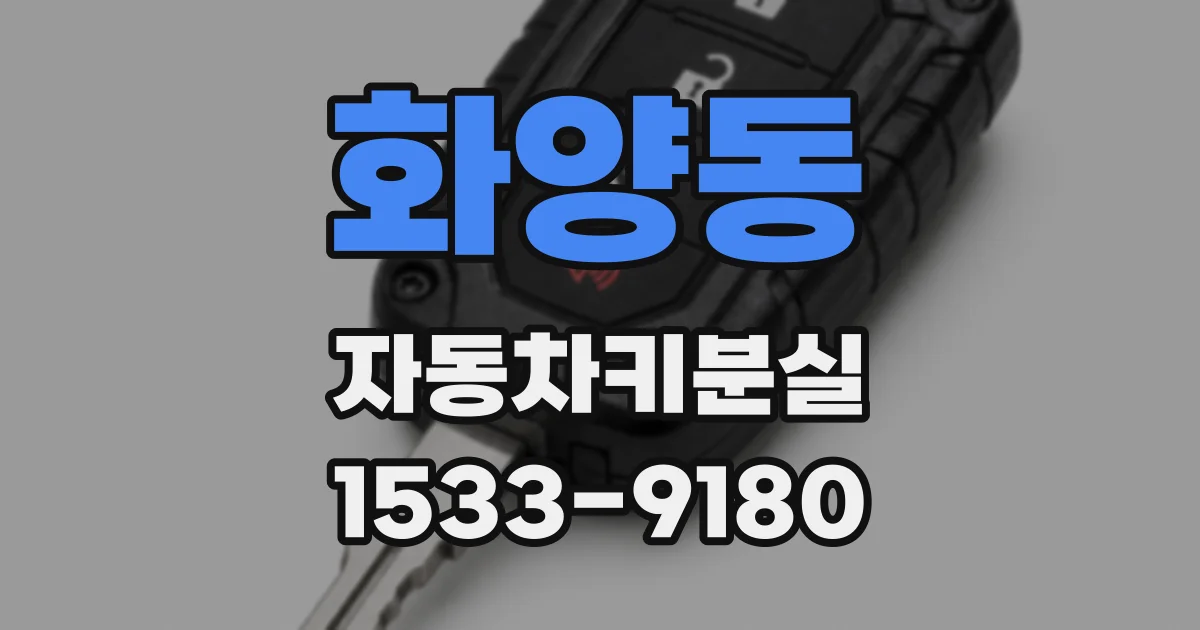 화양동 자동차키분실