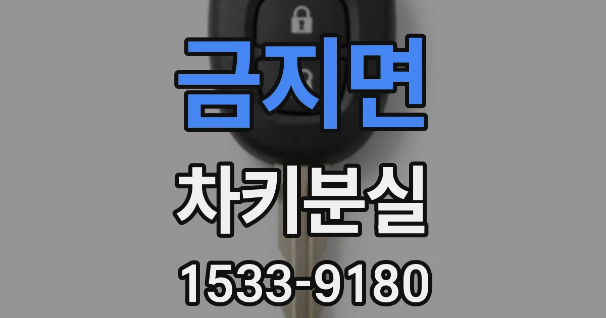 금지면 차키분실