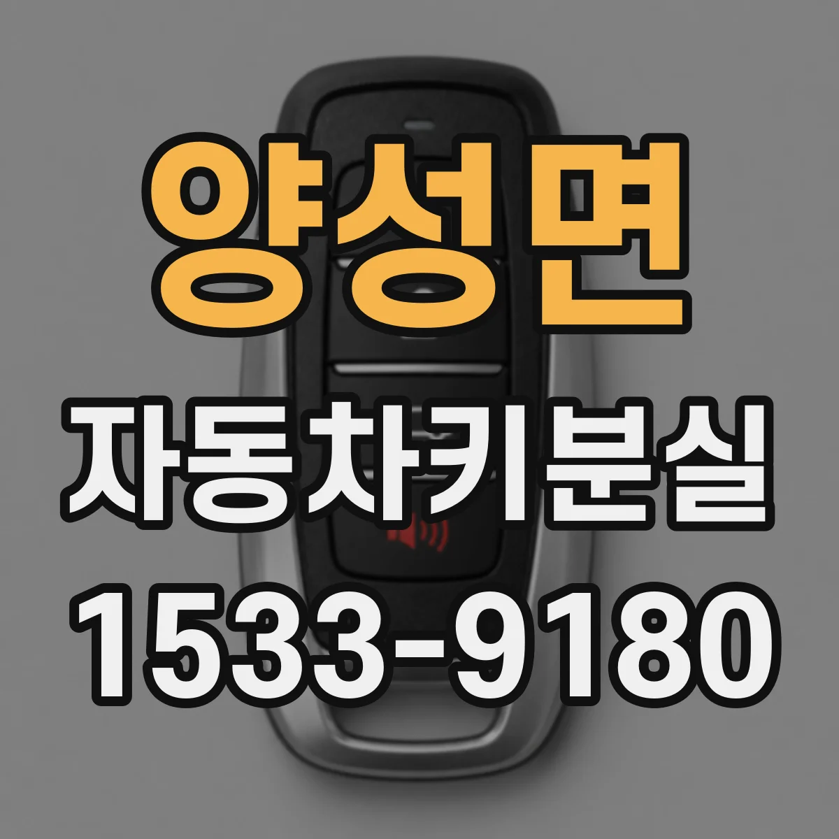 양성면 자동차키분실