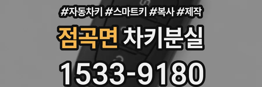 점곡면 차키분실