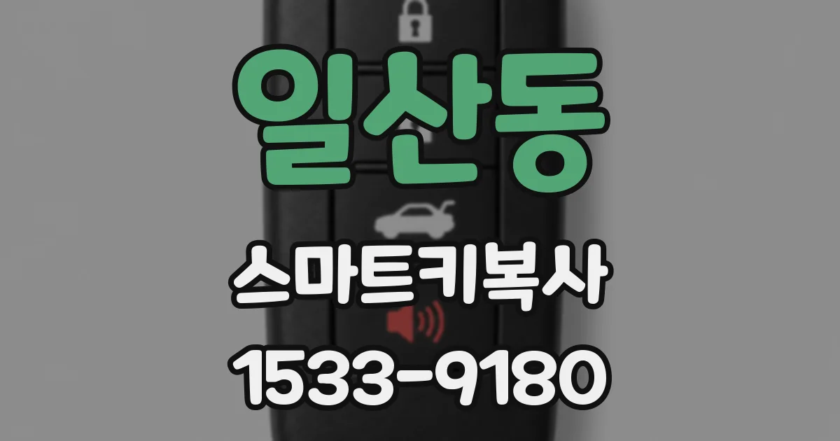 일산동 스마트키복사