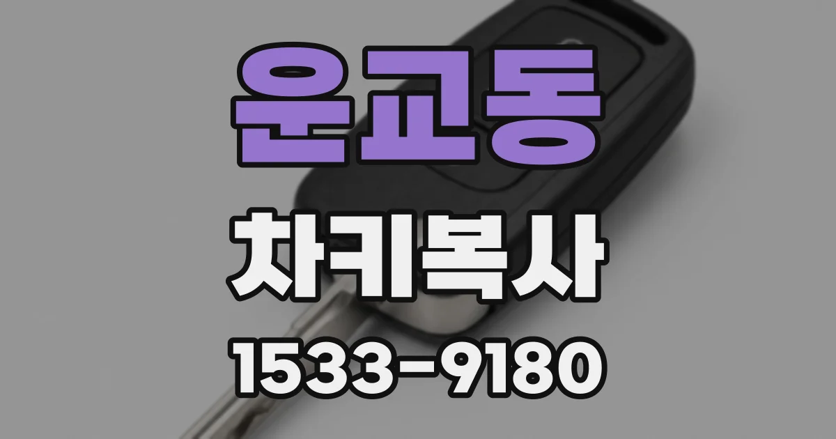 운교동 차키복사
