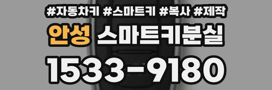 안성 스마트키분실