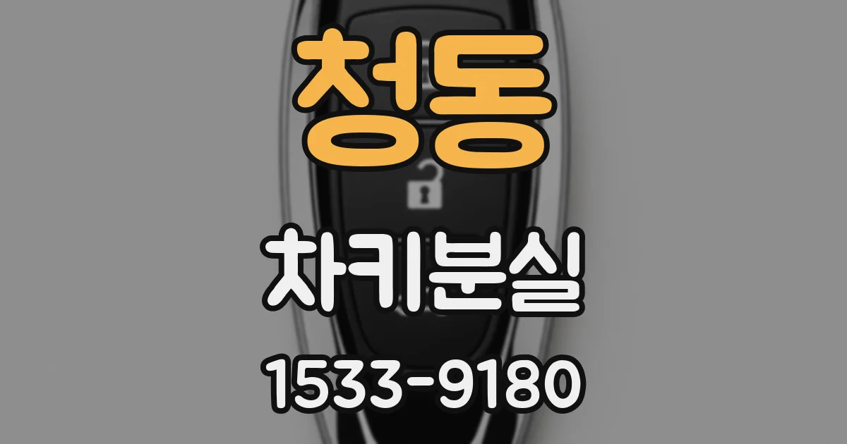 청동 차키분실