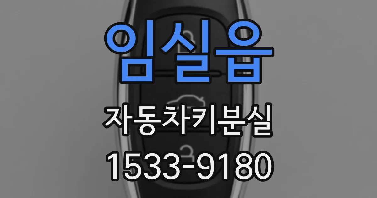 임실읍 자동차키분실