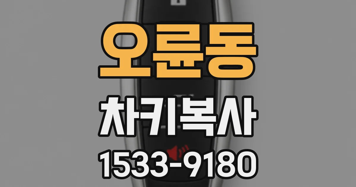 오륜동 차키복사