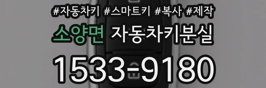 소양면 자동차키분실