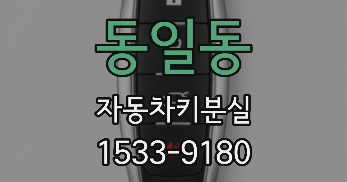 동일동 자동차키분실
