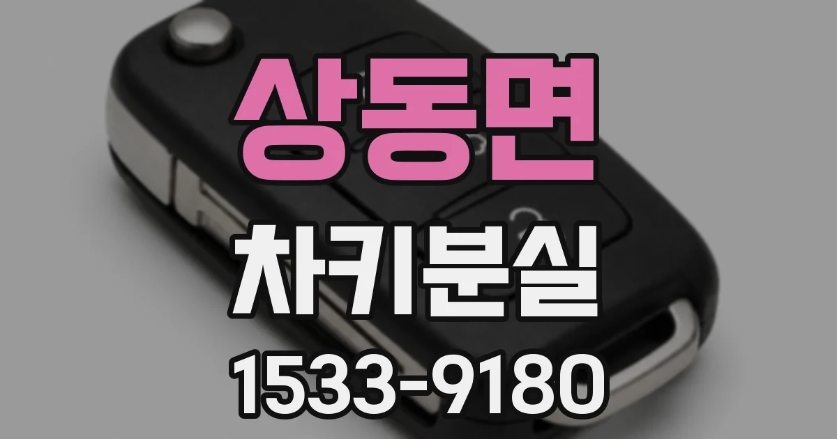 상동면 차키분실