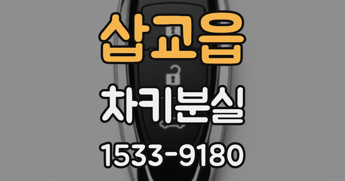 삽교읍 차키분실
