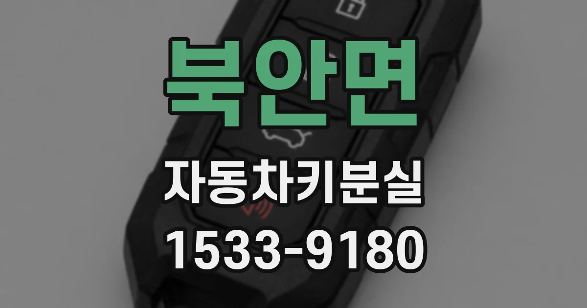 북안면 자동차키분실