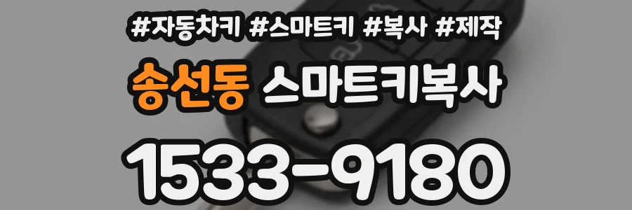 송선동 스마트키복사