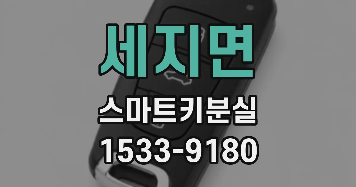 세지면 스마트키분실