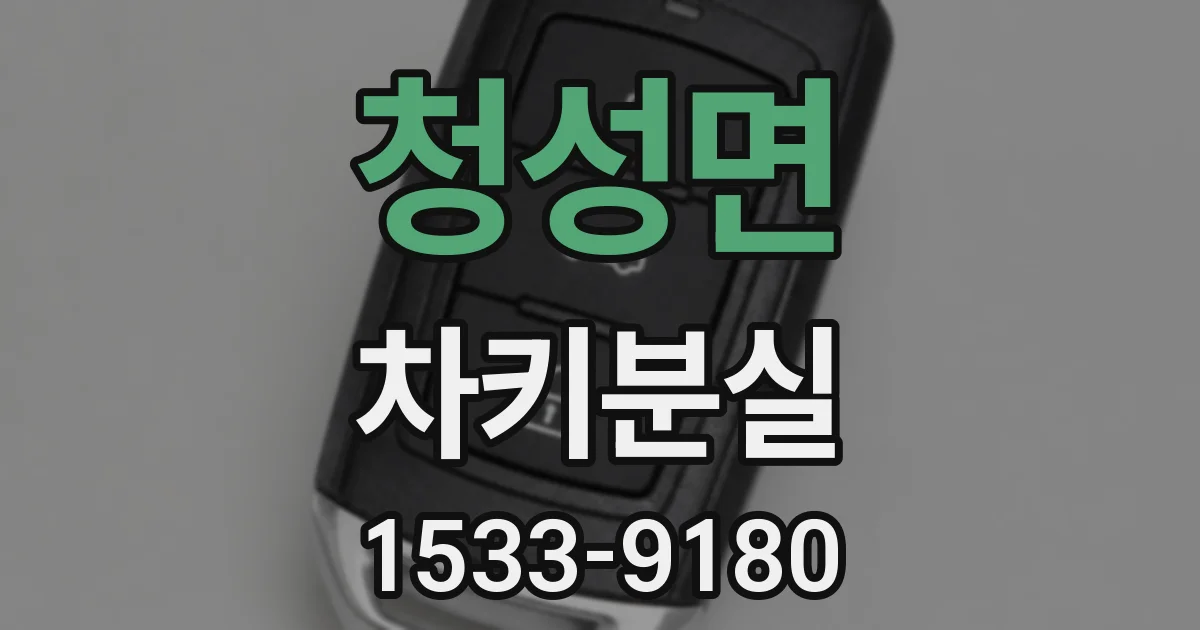 청성면 차키분실