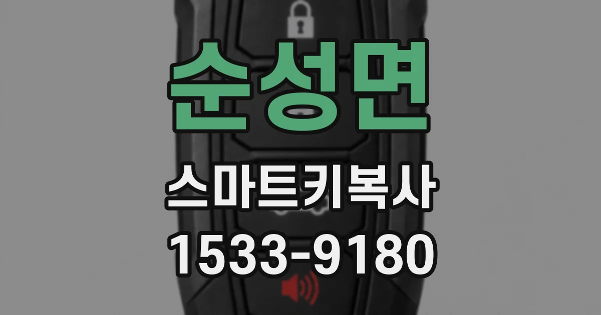 순성면 스마트키복사