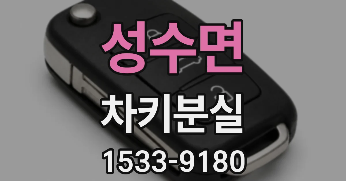 성수면 차키분실
