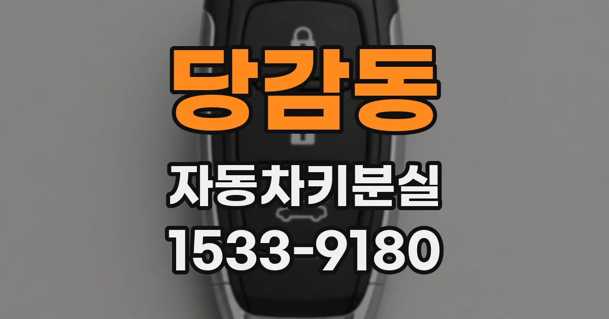 당감동 자동차키분실