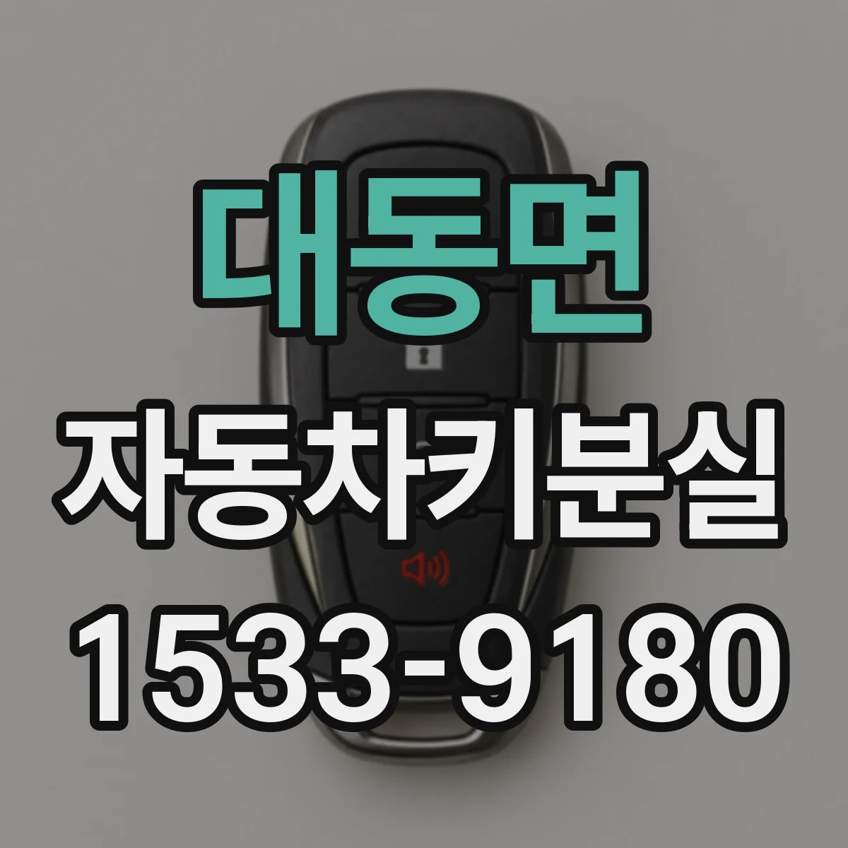 대동면 자동차키분실
