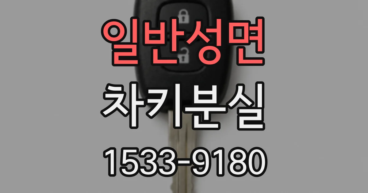 일반성면 차키분실