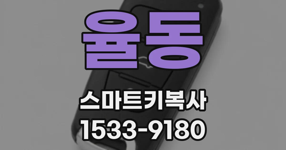 율동 스마트키복사