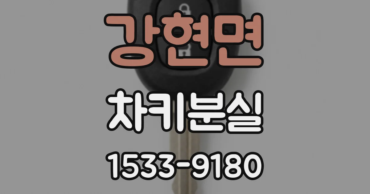 강현면 차키분실