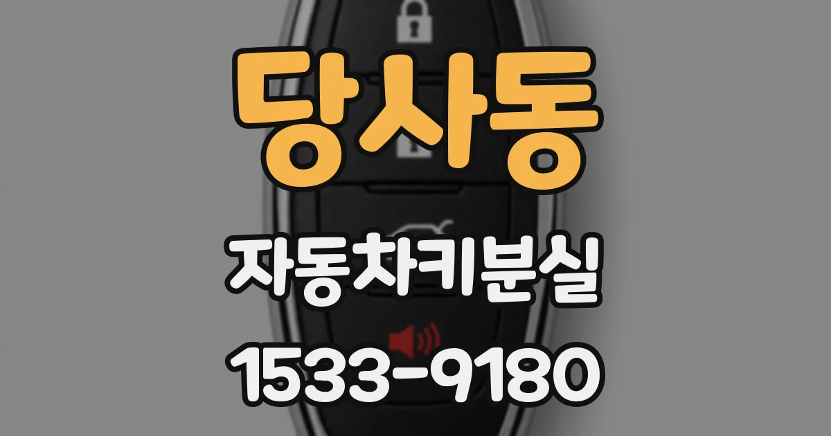 당사동 자동차키분실