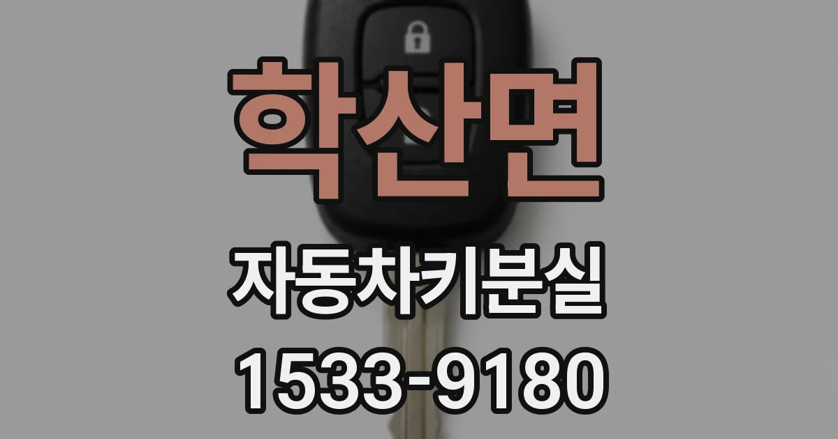 학산면 자동차키분실