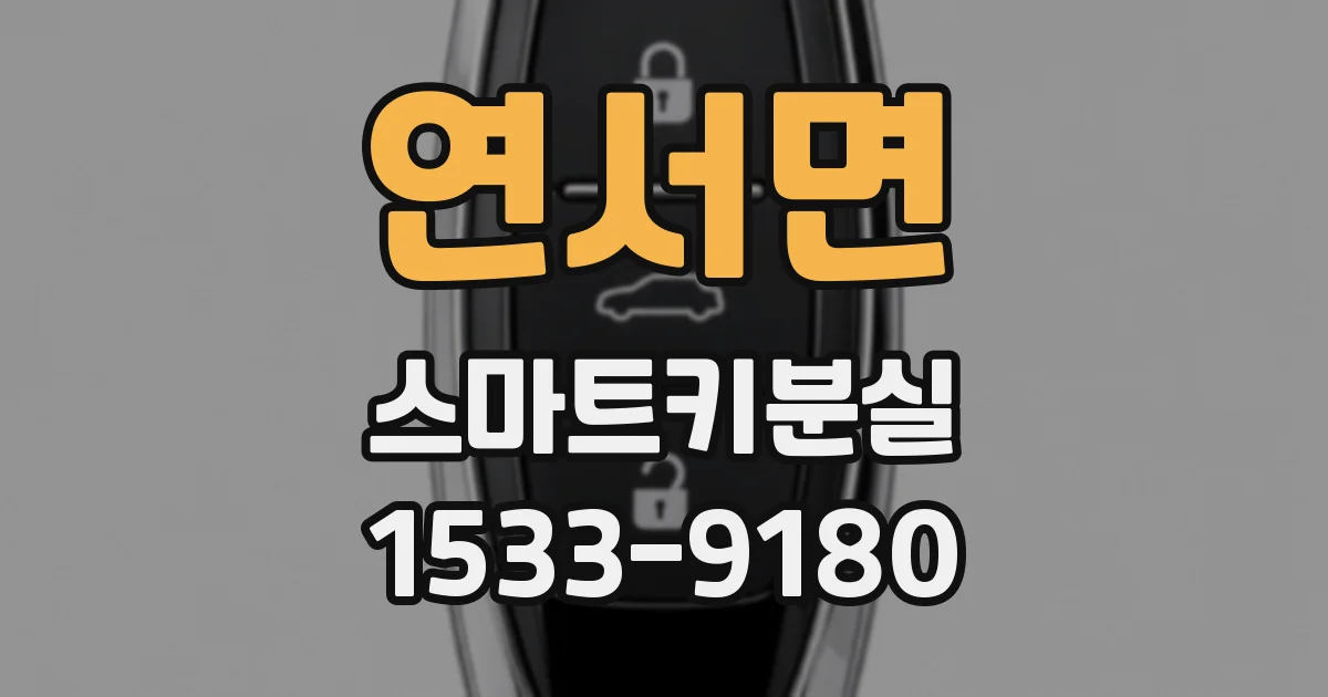 연서면 스마트키분실
