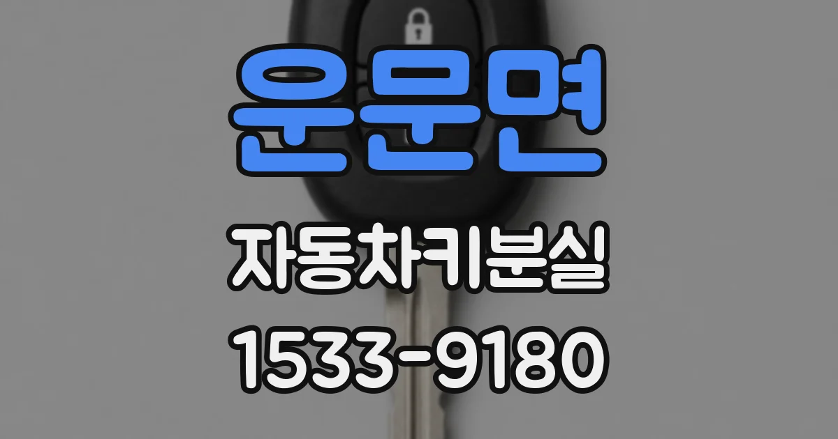 운문면 자동차키분실
