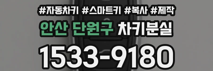 안산 단원구 차키분실