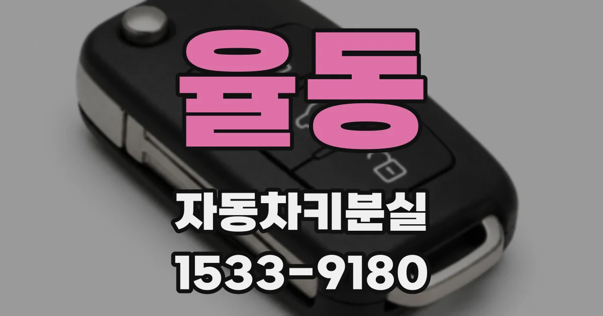 율동 자동차키분실