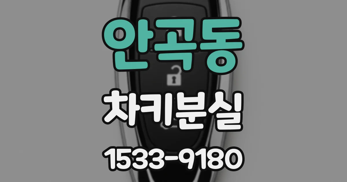 안곡동 차키분실