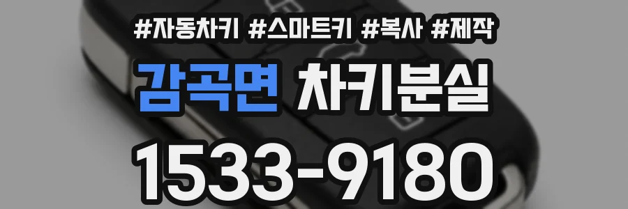 감곡면 차키분실