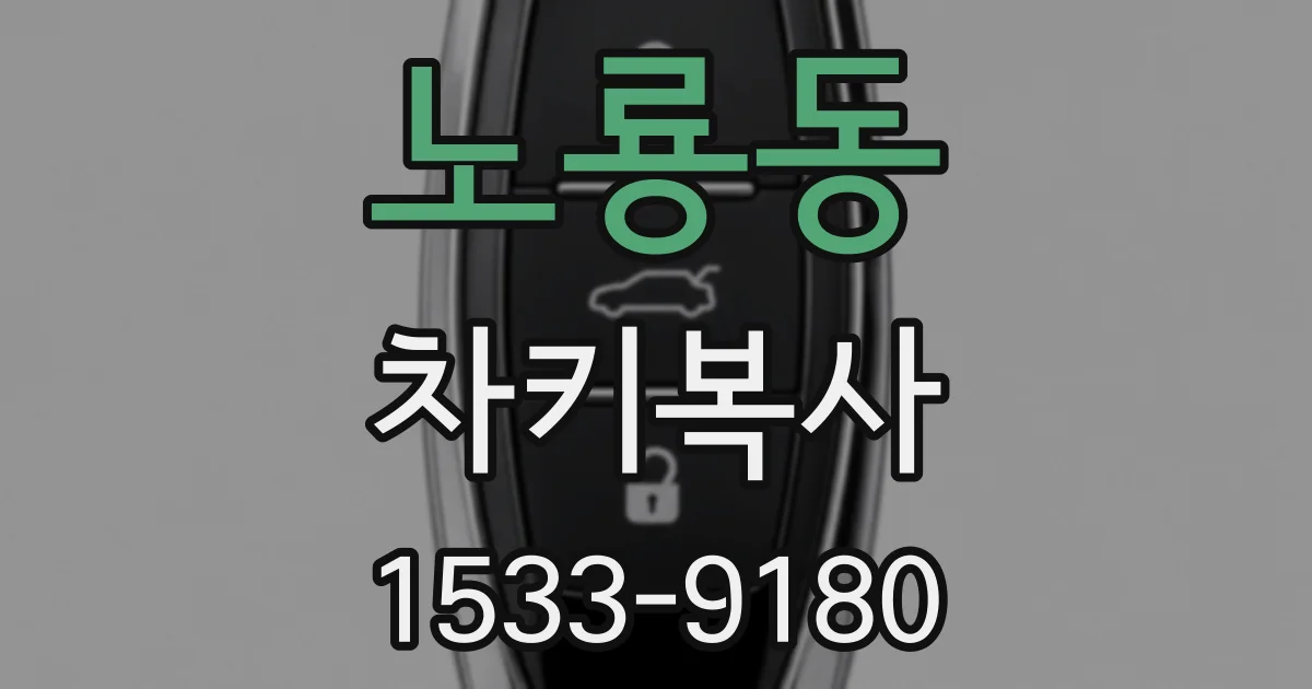 노룡동 차키복사