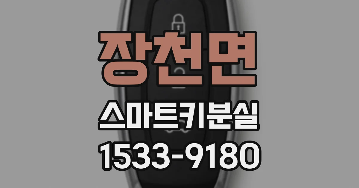 장천면 스마트키분실