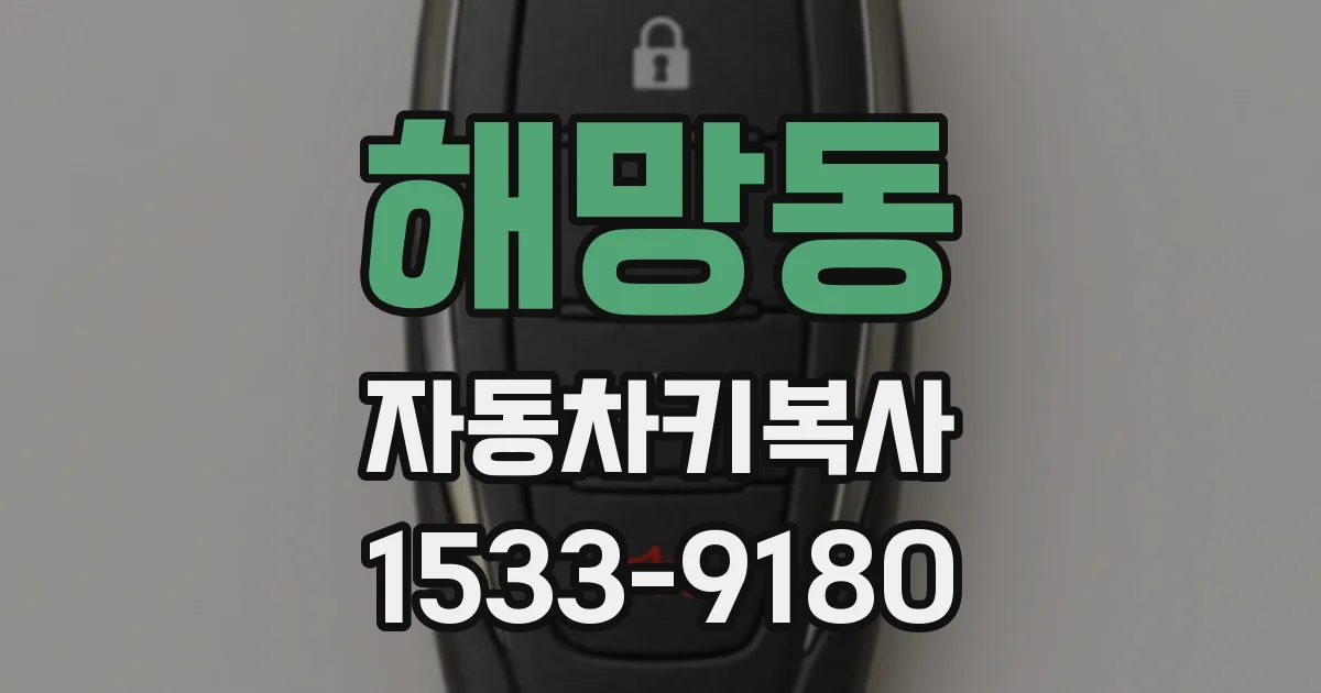 해망동 자동차키복사