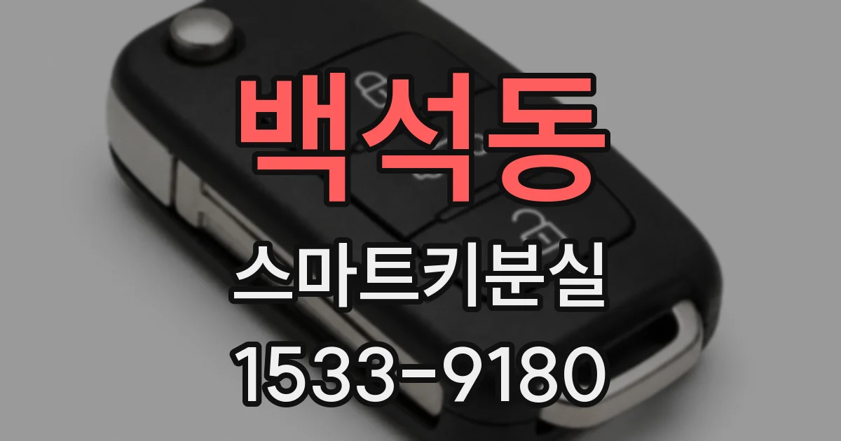 백석동 스마트키분실